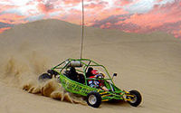 Amargosa Buggy Tour