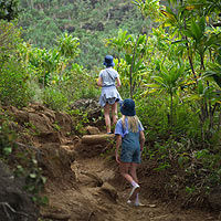 Maui Treasure Hiking Trek