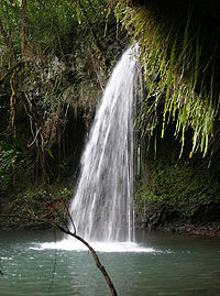 Maui Treasure Hiking Trek