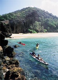 Turtle Reef Kayak Tour
