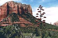 3-Day Sedona and Grand Canyon Traveler