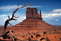 4-Day Native American Cultures of the Southwest