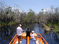 Noosa Everglades Cruise