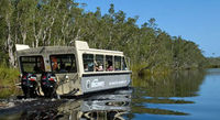 Noosa River and Everglades Afternoon Tea Cruise