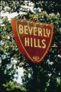 Grand Tour of Los Angeles and Movie Stars' Homes Tour
