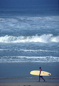 LA City Tour, Shopping, Beaches and Movie Stars' Homes Tour