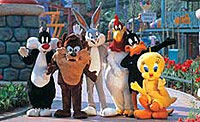 Six Flags Magic Mountain