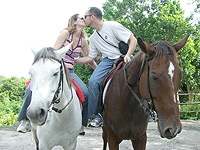 Prospect Plantation Tour by Horse