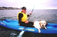 La Jolla Pooch Paddling Kayak Rental