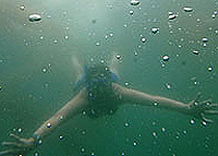 La Jolla Shark Snorkel Kayak Adventure