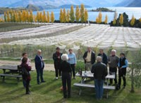Central Otago Boutique Wine Tour From Queenstown