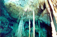Hidden Worlds of Mexico Cavern Dive