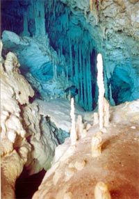 Hidden Worlds of Mexico Cavern Dive