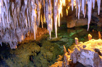 Tak Be Ha Mexican Cavern Snorkel Tour and Jungle Adventure