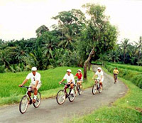 Eco Cycling and Buffet Lunch Tour