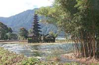 North Coast Mountain Tour: Singaraja and Bedugul