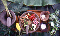 Rural Charm of Bali with a Balinese Cooking Lesson