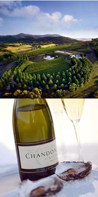 Twilight Gastronomic Private Tour of Yarra Valley