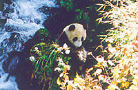 Guangzhou (Canton) China including Temple of the Six Banyan Trees