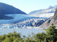 Juneau Whale Watching Adventure and Mendenhall Glacier