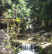 Around Koh Samui Island including lunch and Rejuvenate