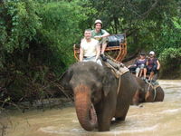 Elephant Trekking in Pattaya