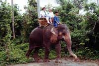 Half Day Safari around Phuket