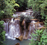 Khao Yai National Park outside of Bangkok