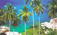 Koh Samui - Around Island Tour