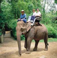 Nong Nooch Village - Pattaya