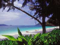 Phuket Airport Arrival Transfer