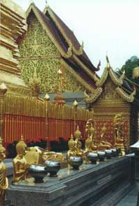 Wat Doi Suthep and White Meo