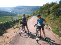 Discovery of Burgundy