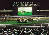 Go Racing At The Singapore Turf Club