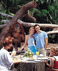 Morning at the Singapore Zoo Private Tour
