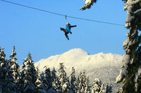 Zipline Adventure in Whistler
