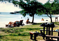 Island Paradise
