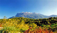 Kinabalu Park and Poring Hot Springs