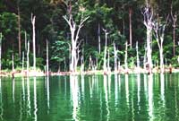 Lake Chini Excursion outside Kuantan