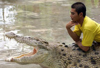 Underwater World and Crocodile Farm on Langkawi Island