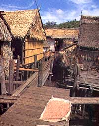 Venice of the East (Water Village)