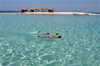 Paradise Island