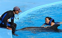 Be a Dolphin Trainer for a Day in Cabo San Lucas