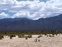 Cabo 4x4 Desert Safari