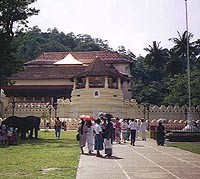 Sri Lanka Highlights Tour