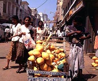 Sri Lanka Sojourn Tour