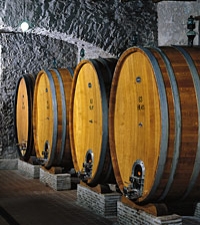 Nectar of the Gods Wine Tasting Tour from Rome