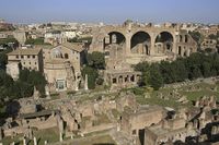 Skip the Line: Private Colosseum Walking Tour