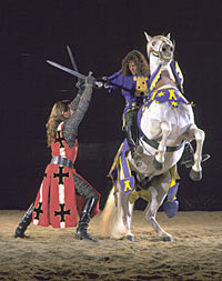 Medieval Times Dinner and Tournament