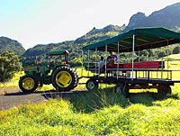 Kipu Falls Zipline Safari